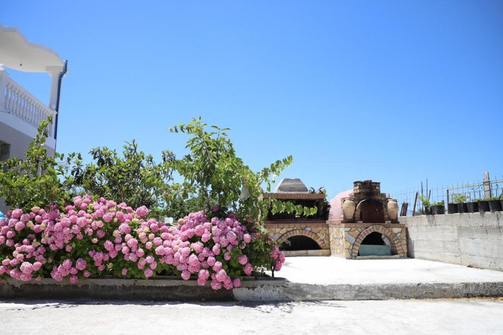 Guest House Narta Vlorë Exterior foto